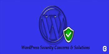 Intriguing WordPress Security Concerns &#038; Solutions  