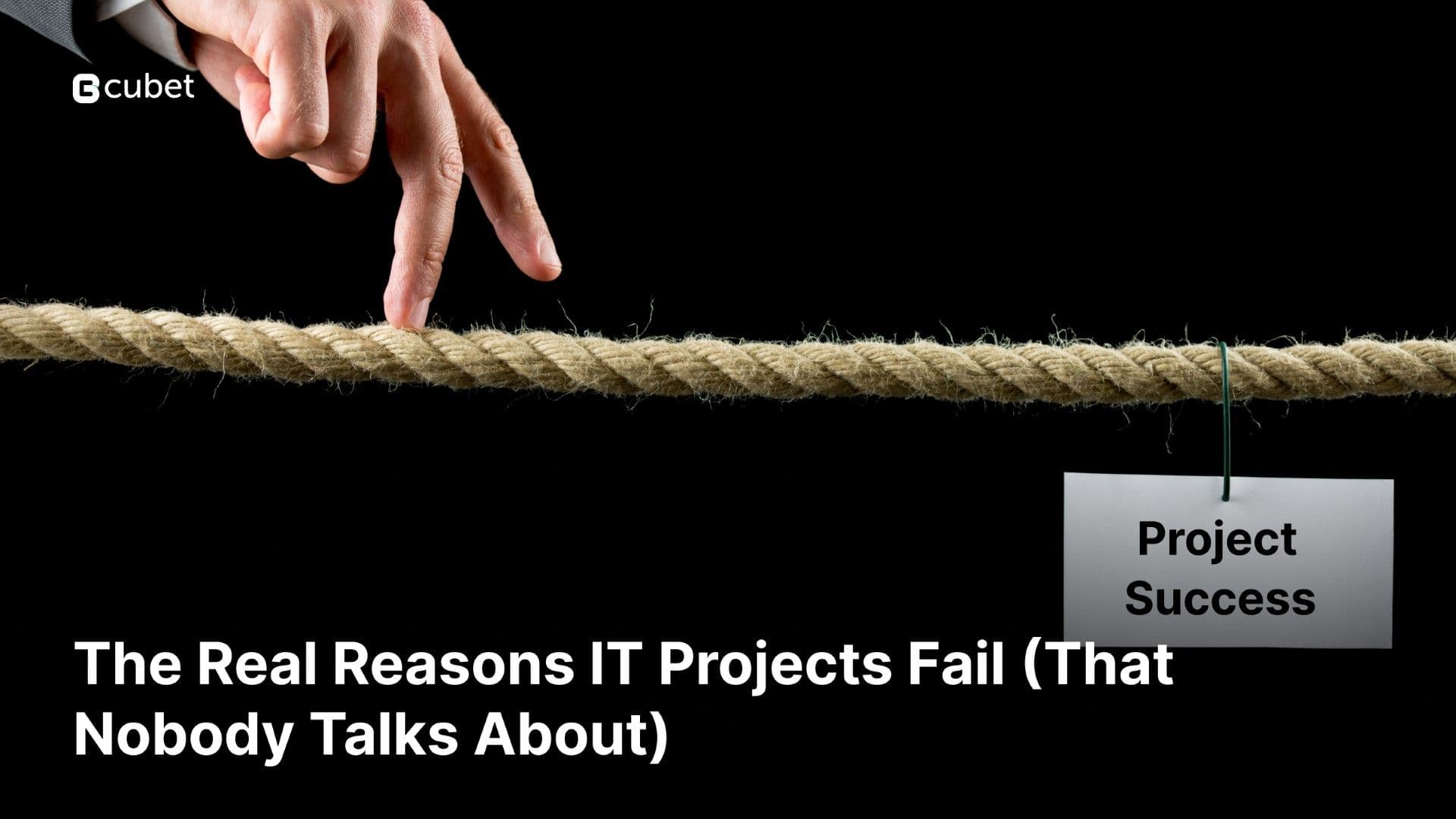 Project Sucess