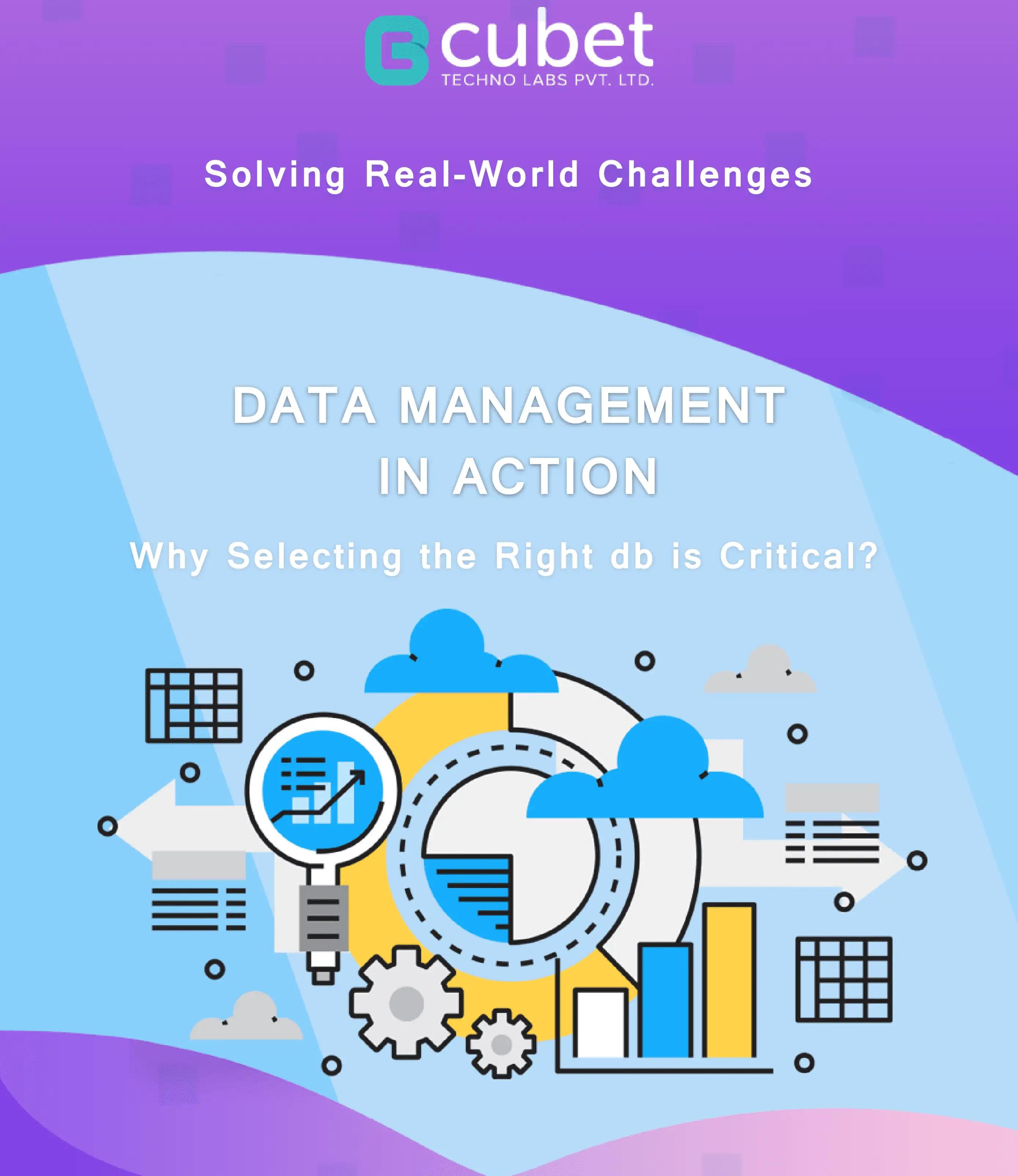 Solving Real-World Challenges: Data Management in Action