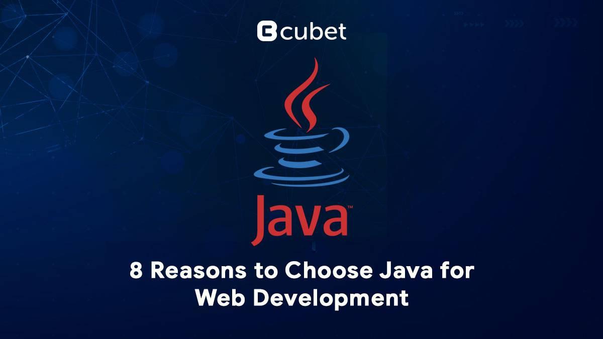 8 Reasons to Choose Java for Web Development