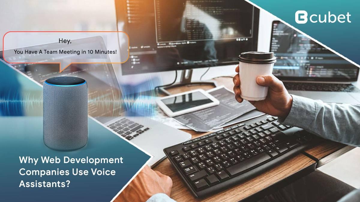 Why Do Web Development Companies Use Voice Assistants and How Do Businesses Use Them?