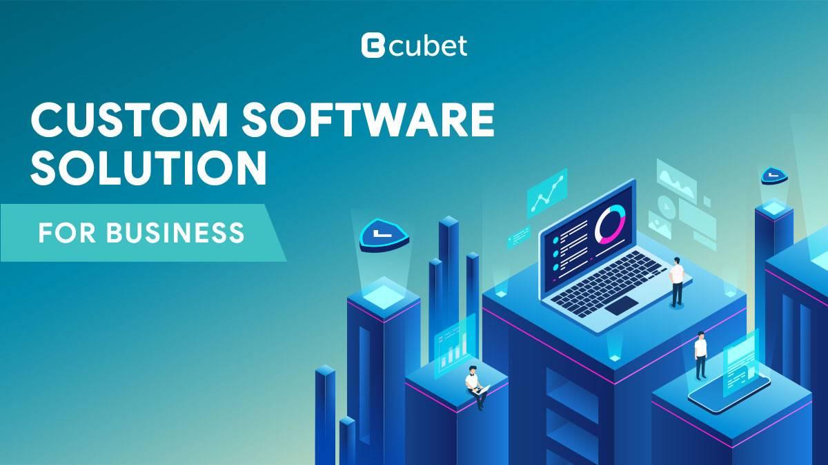Why Is Custom Software Solution Important for Your Business?