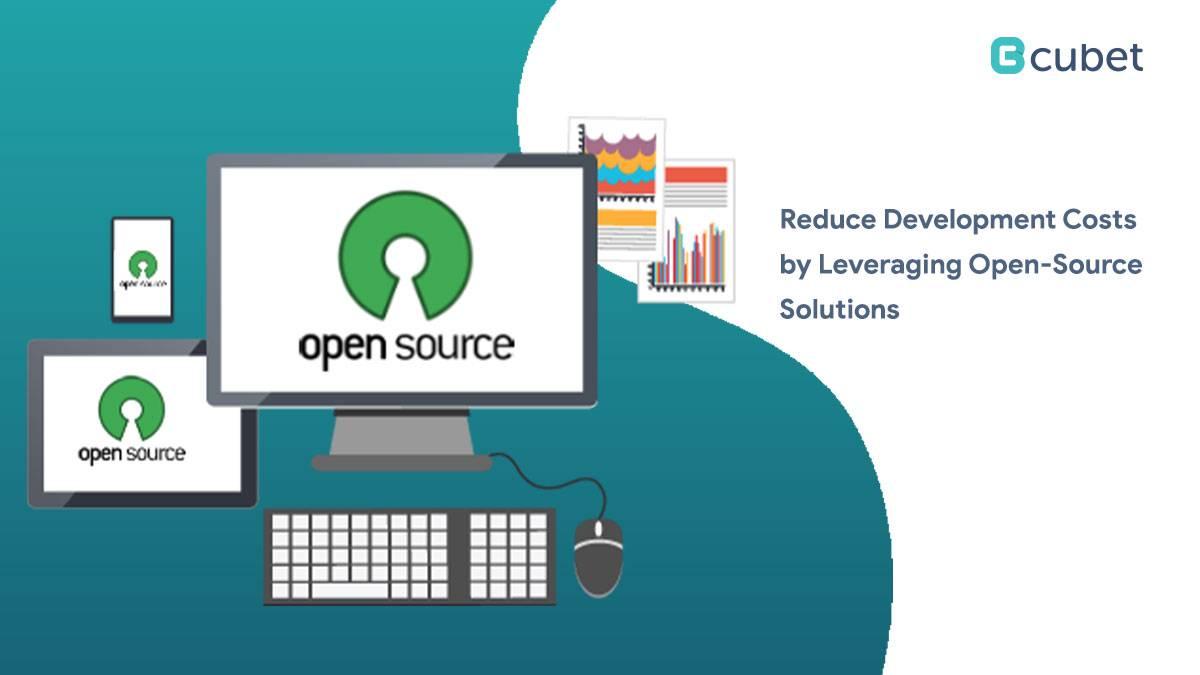 How to Reduce Development Costs by Leveraging Open-Source Solutions?