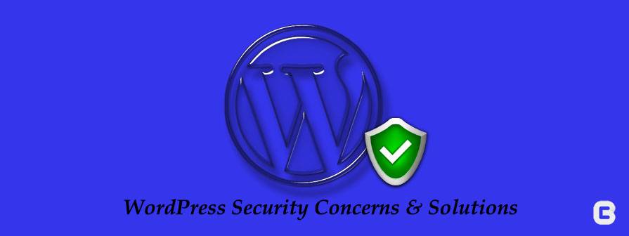 Wordpress Security Concerns and Solutions