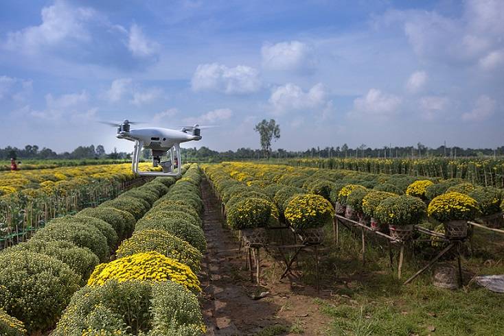 IoT in agriculture