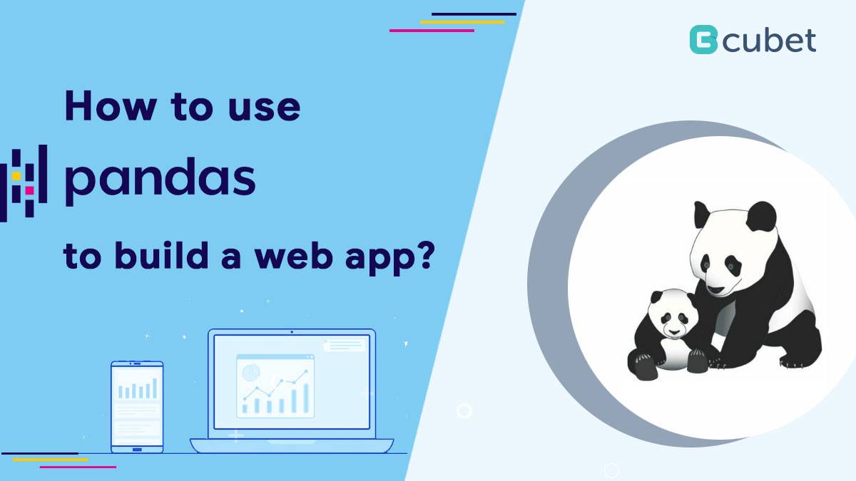 How to Use Pandas to Build a Web App?