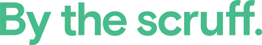 software development services